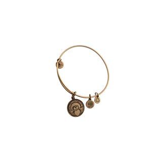 Alex and Ani Claddagh Charm Bracelet in Rafaelian - Excellent Condition